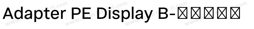 Adapter PE Display B字体转换